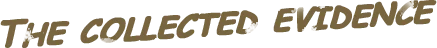 定制侦探